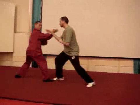 Wahnam Taijiquan