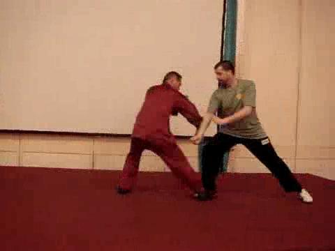 Wahnam Taijiquan