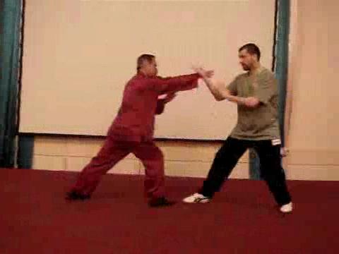 Wahnam Taijiquan