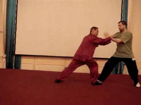 Wahnam Taijiquan