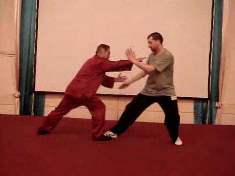 Wahnam Taijiquan