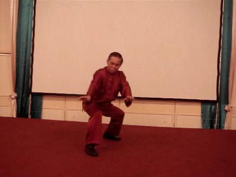 Wahnam Taijiquan