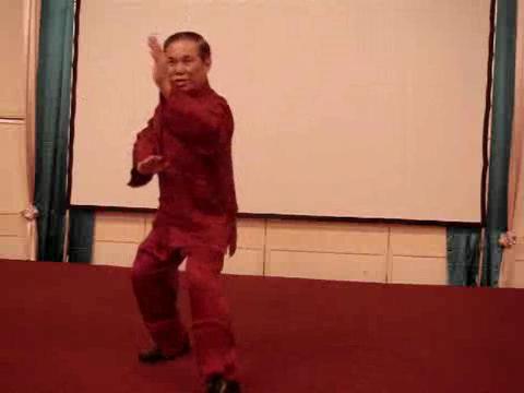 Wahnam Taijiquan