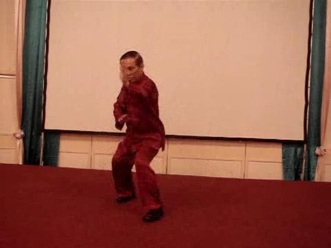 Wahnam Taijiquan