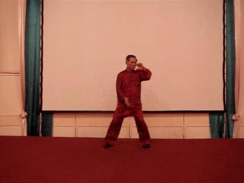 Wahnam Taijiquan