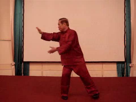 Wahnam Taijiquan