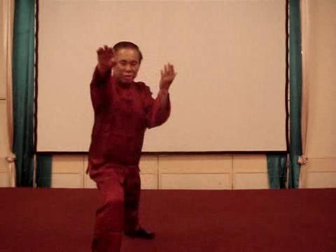 Wahnam Taijiquan