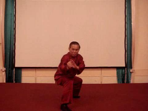 Wahnam Taijiquan, Tai Chi Chuan