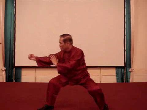 Wahnam Taijiquan