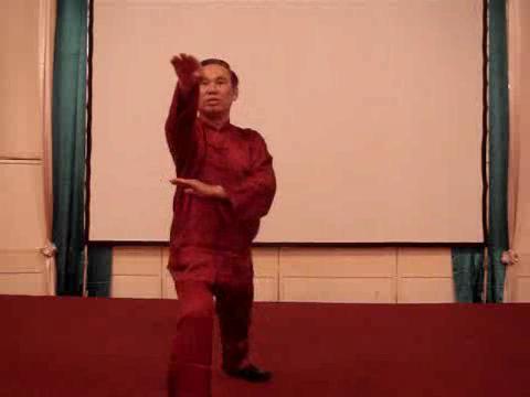 Wahnam Taijiquan