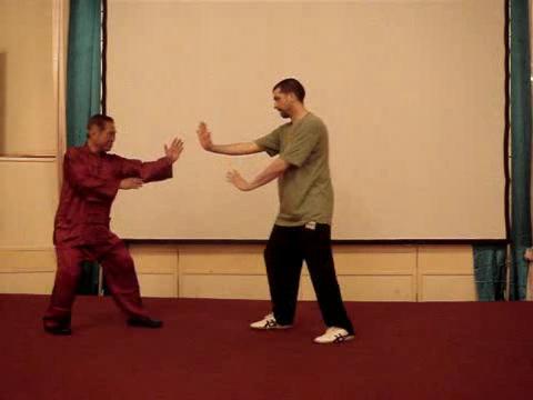 Wahnam Taijiquan