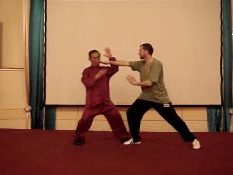 Wahnam Taijiquan