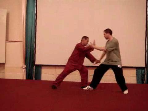 Wahnam Taijiquan