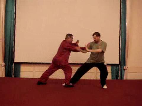 Wahnam Taijiquan