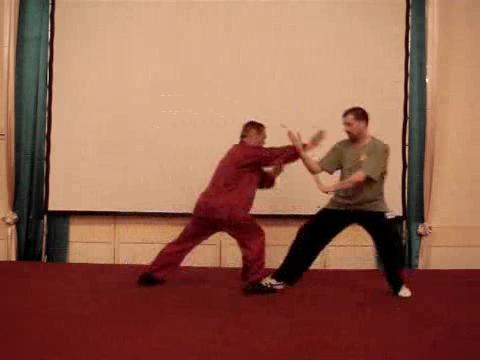 Wahnam Taijiquan