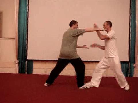 Wahnam Taijiquan