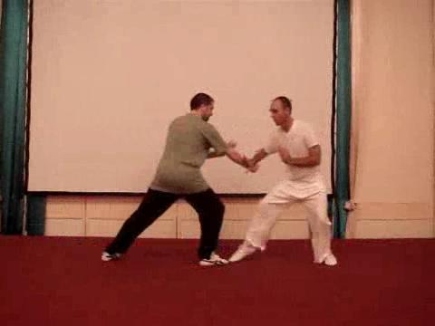 Wahnam Taijiquan