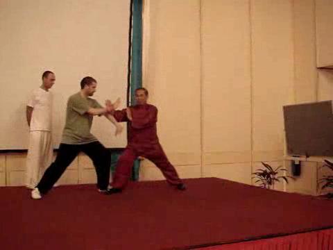 Wahnam Taijiquan