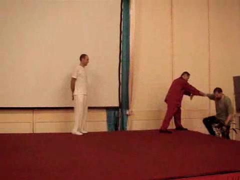 Wahnam Taijiquan