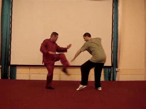 Wahnam Taijiquan