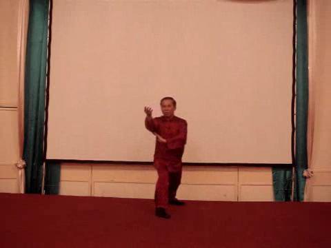 Wahnam Taijiquan