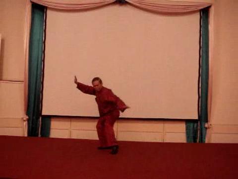 Wahnam Taijiquan