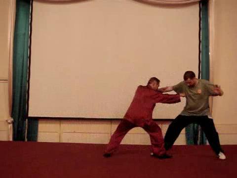 Wahnam Taijiquan