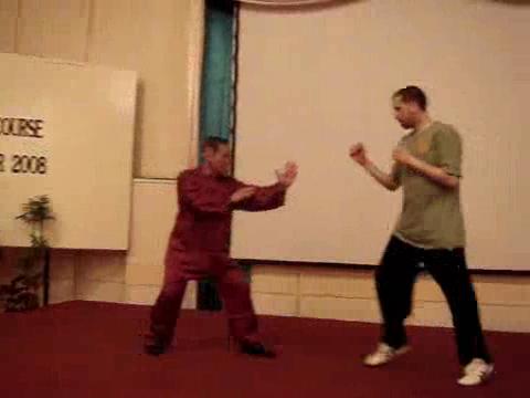 Wahnam Taijiquan, Tai Chi Chuan