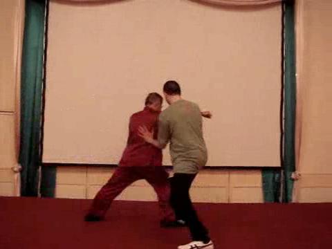 Wahnam Taijiquan