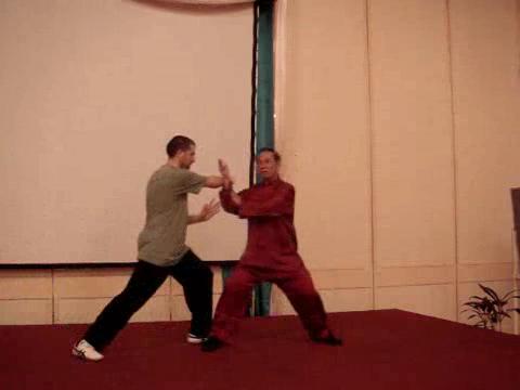 Wahnam Taijiquan