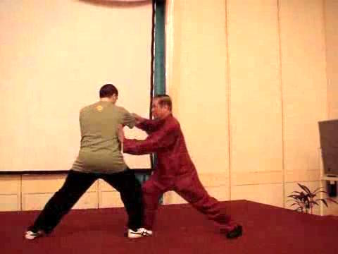 Wahnam Taijiquan