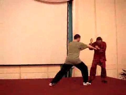 Wahnam Taijiquan