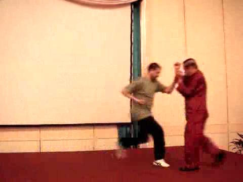 Wahnam Taijiquan