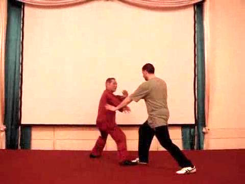 Wahnam Taijiquan