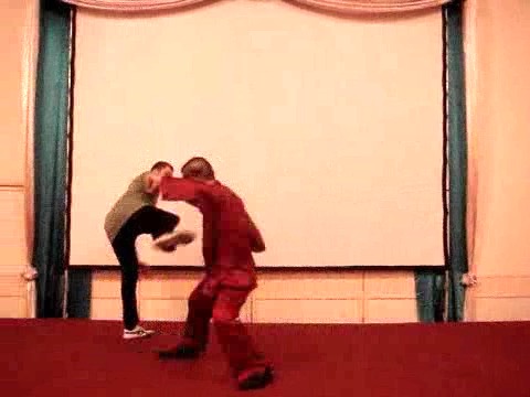 Wahnam Taijiquan