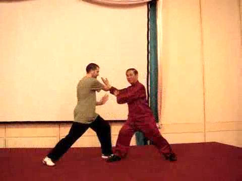 Wahnam Taijiquan