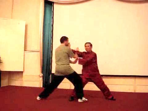 Wahnam Taijiquan, Tai Chi Chuan