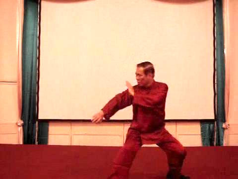 Wahnam Taijiquan