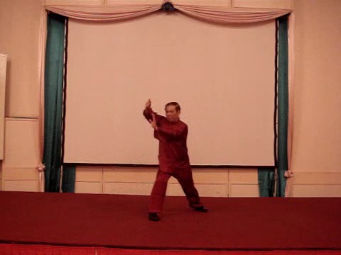 Taijiquan 12 Combat Sequences