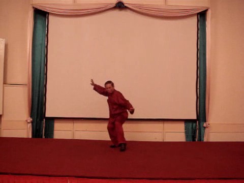 Wahnam Taijiquan