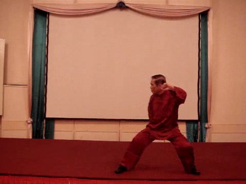 Wahnam Taijiquan