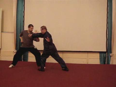 Wahnam Taijiquan