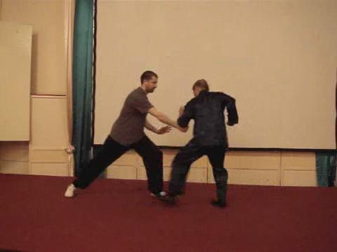 Wahnam Taijiquan