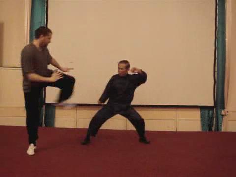 Wahnam Taijiquan