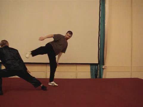 Wahnam Taijiquan