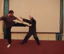 Wahnam Taijiquan