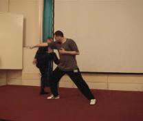 Wahnam Taijiquan