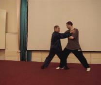 Wahnam Taijiquan