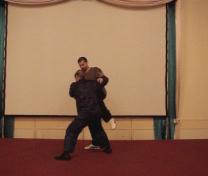 Wahnam Taijiquan