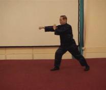 Wahnam Taijiquan